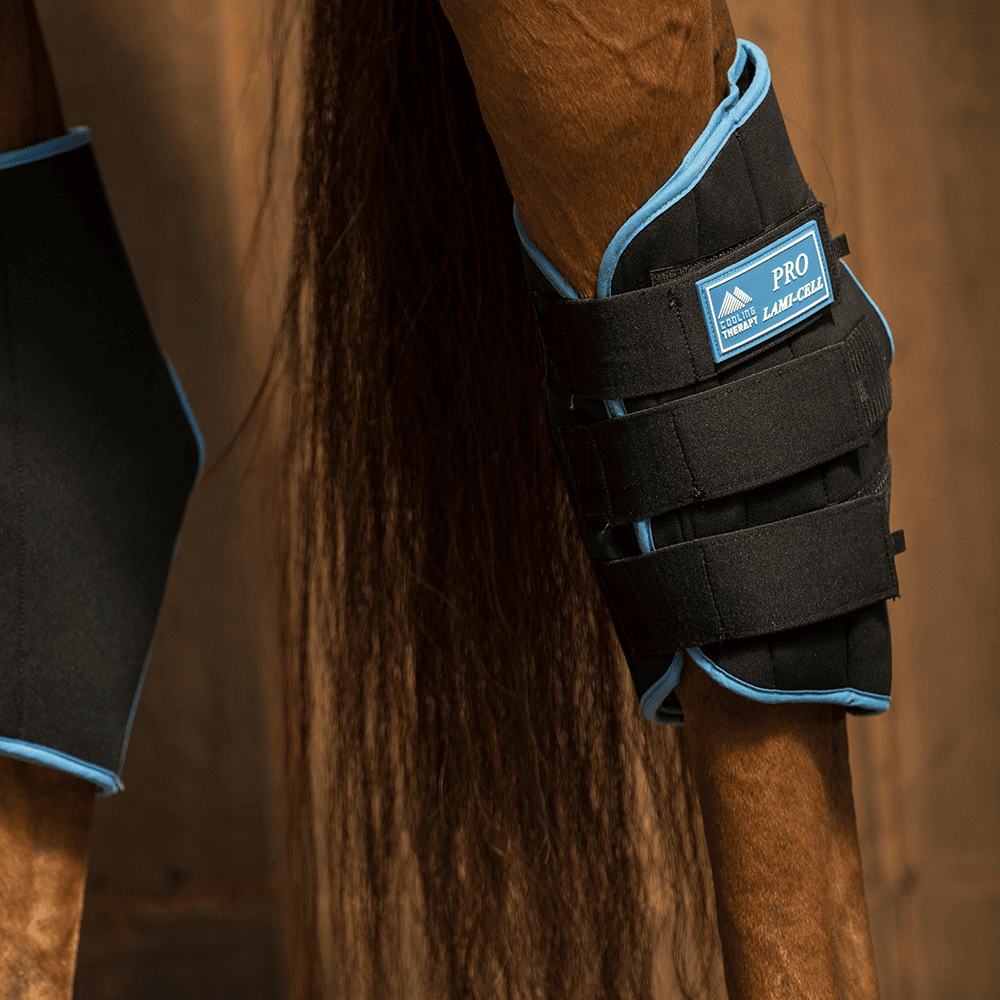 Lami-Cell Pro Cooling Therapy Hase