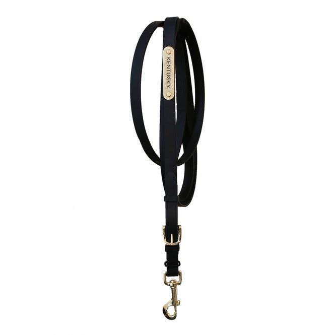 Hovedbilde Kentucky Presentation Lead Black