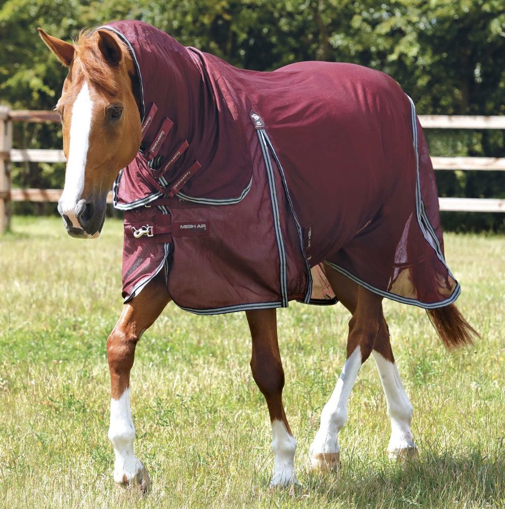 Premier Equine Combo Mesh Air Fly Rug Wine