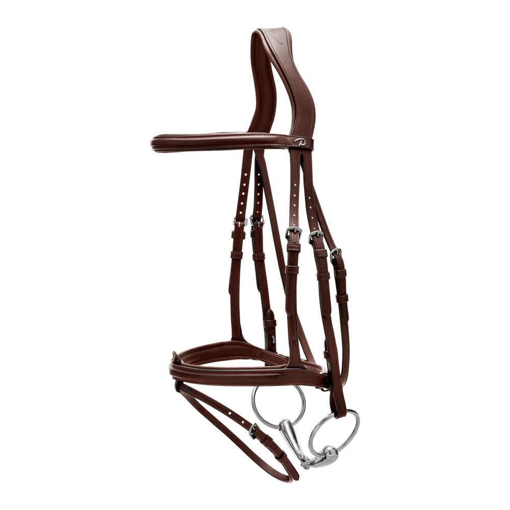 Dy’on NE Collection Flash Noseband Bridle