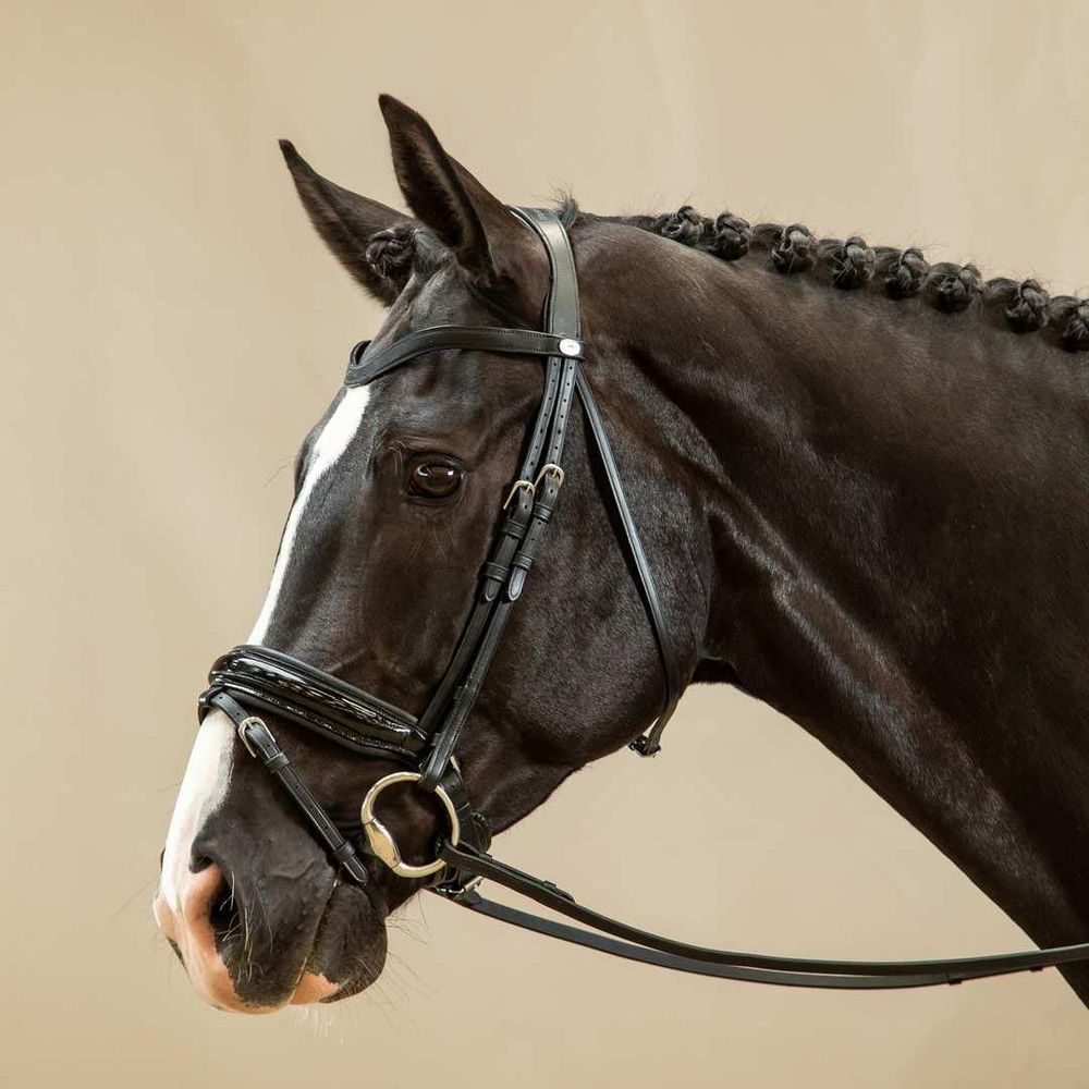 Dy'on Working Collection Patent Large Crank Noseband Bridle w/ Flash 