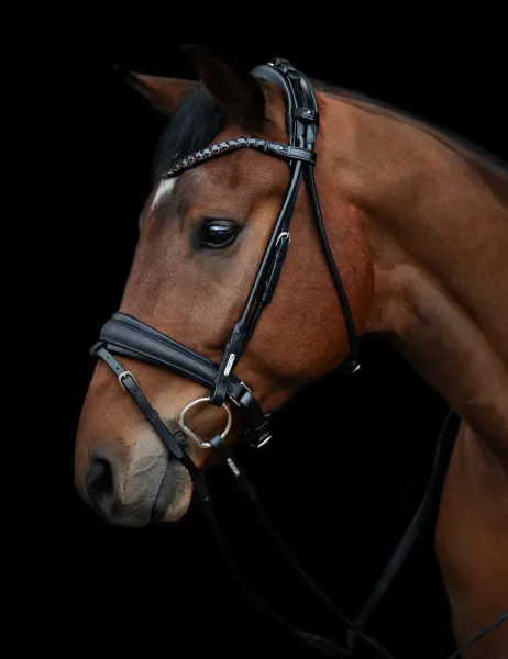 Hovedbilde Utzon Edinburgh Glitter Bridle