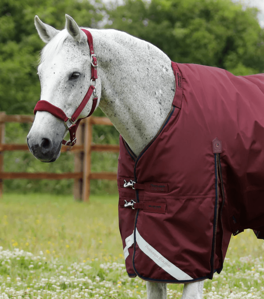 Premier Equine Buster Turnout 400g Burgundy 