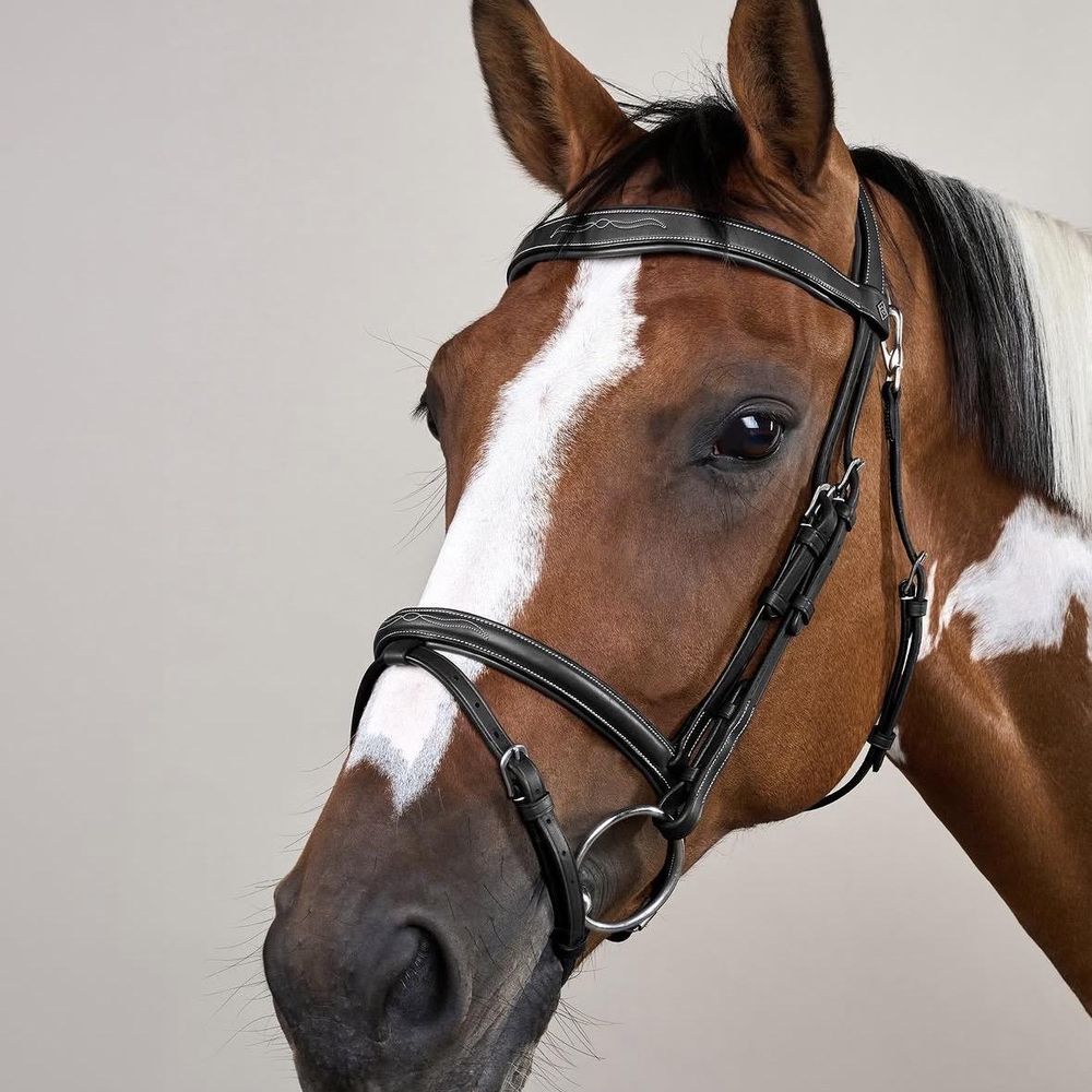 Dyon Working Collection Flash Noseband Bridle w/Snap Hooks